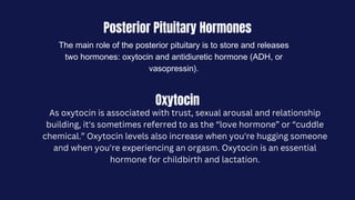 Posterior Pituitary Hormones
Oxytocin
The main role of the posterior pituitary is to store and releases
two hormones: oxytocin and antidiuretic hormone (ADH, or
vasopressin).
As oxytocin is associated with trust, sexual arousal and relationship
building, it's sometimes referred to as the “love hormone” or “cuddle
chemical.” Oxytocin levels also increase when you're hugging someone
and when you're experiencing an orgasm. Oxytocin is an essential
hormone for childbirth and lactation.
 