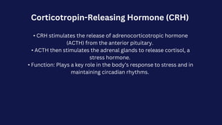 Corticotropin-Releasing Hormone (CRH)
• CRH stimulates the release of adrenocorticotropic hormone
(ACTH) from the anterior pituitary.
• ACTH then stimulates the adrenal glands to release cortisol, a
stress hormone.
• Function: Plays a key role in the body’s response to stress and in
maintaining circadian rhythms.
 