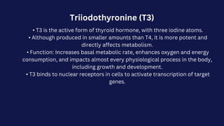 Triiodothyronine (T3)
• T3 is the active form of thyroid hormone, with three iodine atoms.
• Although produced in smaller amounts than T4, it is more potent and
directly affects metabolism.
• Function: Increases basal metabolic rate, enhances oxygen and energy
consumption, and impacts almost every physiological process in the body,
including growth and development.
• T3 binds to nuclear receptors in cells to activate transcription of target
genes.
 