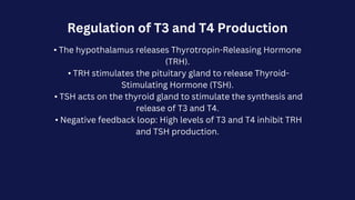 Regulation of T3 and T4 Production
• The hypothalamus releases Thyrotropin-Releasing Hormone
(TRH).
• TRH stimulates the pituitary gland to release Thyroid-
Stimulating Hormone (TSH).
• TSH acts on the thyroid gland to stimulate the synthesis and
release of T3 and T4.
• Negative feedback loop: High levels of T3 and T4 inhibit TRH
and TSH production.
 
