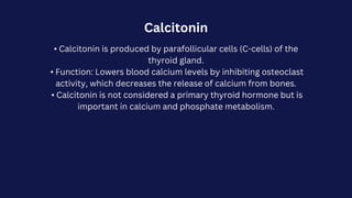 Calcitonin
• Calcitonin is produced by parafollicular cells (C-cells) of the
thyroid gland.
• Function: Lowers blood calcium levels by inhibiting osteoclast
activity, which decreases the release of calcium from bones.
• Calcitonin is not considered a primary thyroid hormone but is
important in calcium and phosphate metabolism.
 