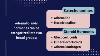 Adrenal Glands
hormones can be
categorized into two
broad groups:
Catecholamines
Adrenaline
Noradrenaline
Steroid Hormones
Glucocorticoids
Mineralocorticoids
Adrenal androgen
 
