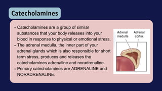 Catecholamines are a group of similar
substances that your body releases into your
blood in response to physical or emotional stress.
The adrenal medulla, the inner part of your
adrenal glands which is also responsible for short
term stress, produces and releases the
catecholamines adrenaline and noradrenaline.
Primary catecholamines are ADRENALINE and
NORADRENALINE.
Catecholamines
 