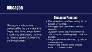 Glucagon
Glucagon is a hormone
produced by the pancreas that
helps raise blood sugar levels.
It works by stimulating the liver
to release stored glucose into
the bloodstream.
After several hours without eating, blood
glucose levels drop.
This triggers the pancreas to release
glucagon.
Glucagon signals the liver and muscle
cells to convert stored glycogen back into
glucose.
The glucose is then absorbed by cells to
produce energy.
This process ensures blood glucose
levels do not drop too low.
Glucagon Function
 