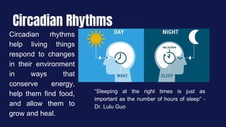 Circadian Rhythms
Circadian rhythms
help living things
respond to changes
in their environment
in ways that
conserve energy,
help them find food,
and allow them to
grow and heal.
“Sleeping at the right times is just as
important as the number of hours of sleep” -
Dr. Lulu Guo
 