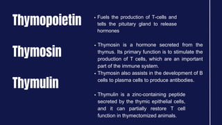 Thymopoietin
Thymulin
Thymosin
Fuels the production of T-cells and
tells the pituitary gland to release
hormones
Thymosin is a hormone secreted from the
thymus. Its primary function is to stimulate the
production of T cells, which are an important
part of the immune system.
Thymosin also assists in the development of B
cells to plasma cells to produce antibodies.
Thymulin is a zinc-containing peptide
secreted by the thymic epithelial cells,
and it can partially restore T cell
function in thymectomized animals.
 
