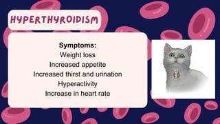 HYPERTHYROIDISM
Symptoms:
Weight loss
Increased appetite
Increased thirst and urination
Hyperactivity
Increase in heart rate
 