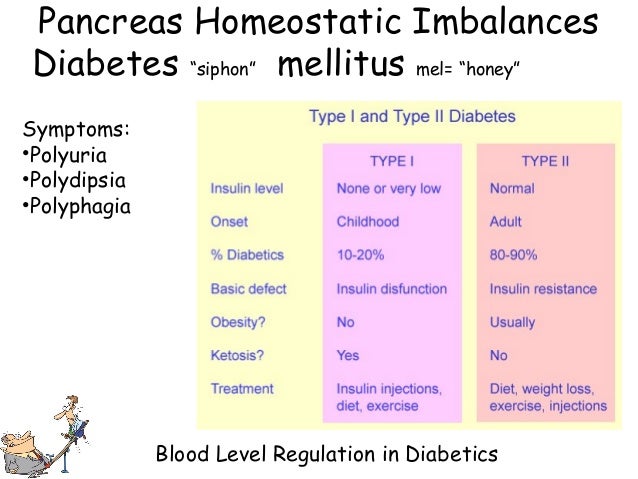 Endocrine systemglands