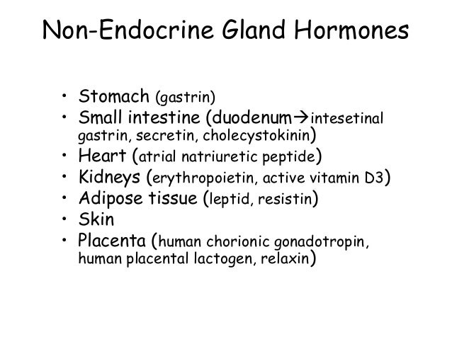 Endocrine systemglands