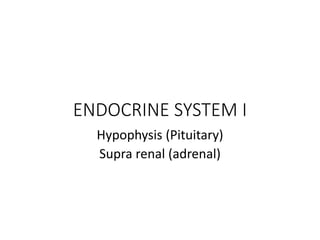 ENDOCRINE SYSTEM I
Hypophysis (Pituitary)
Supra renal (adrenal)
 