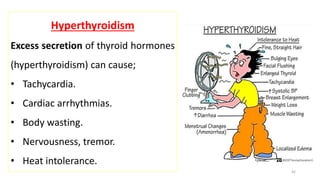 Endocrine System, Intro. (Pituitry Hormones & Thyroid Hormones)- ppt by ...