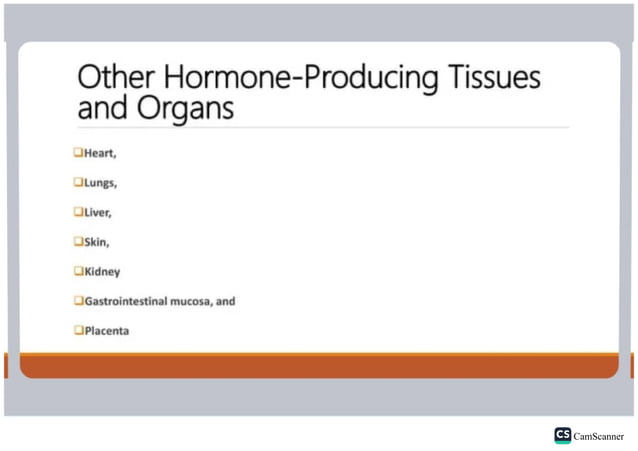 ANATOMY OF THE ENDOCRINE SYSTEM PDF visual data 5