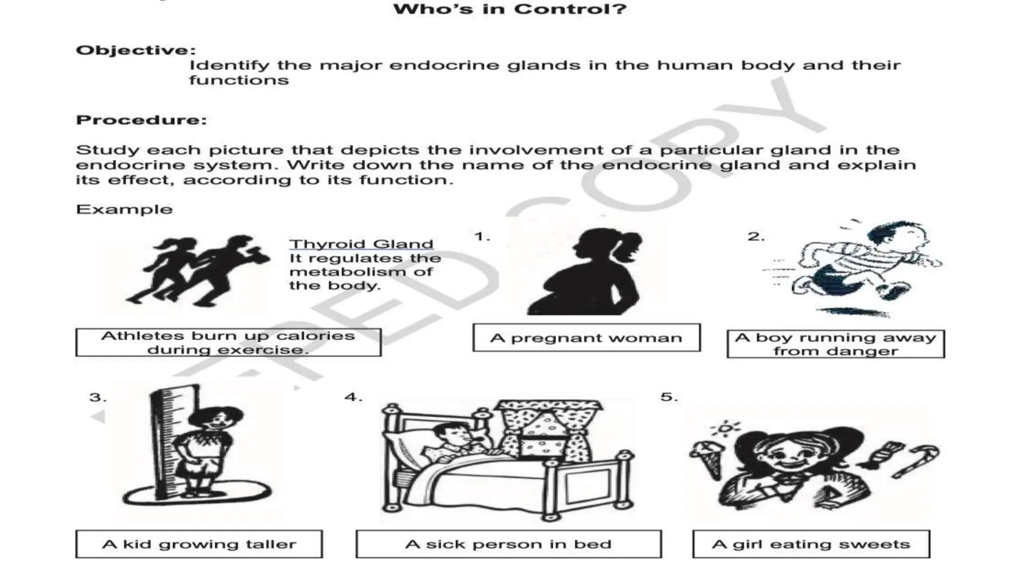 endocrine system lesson 1 [Autosaved].pptx