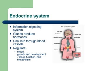 Endocrine system Information signaling system Glands produce hormones Circulate through blood vessels Regulate: mood ,  growth and development ,  tissue function , and  metabolism   