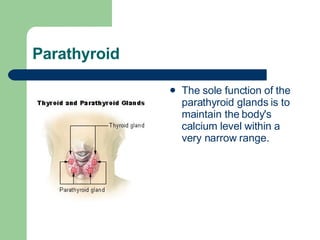 Parathyroid The sole function of the parathyroid glands is to maintain the body's  calcium  level within a very narrow range. 