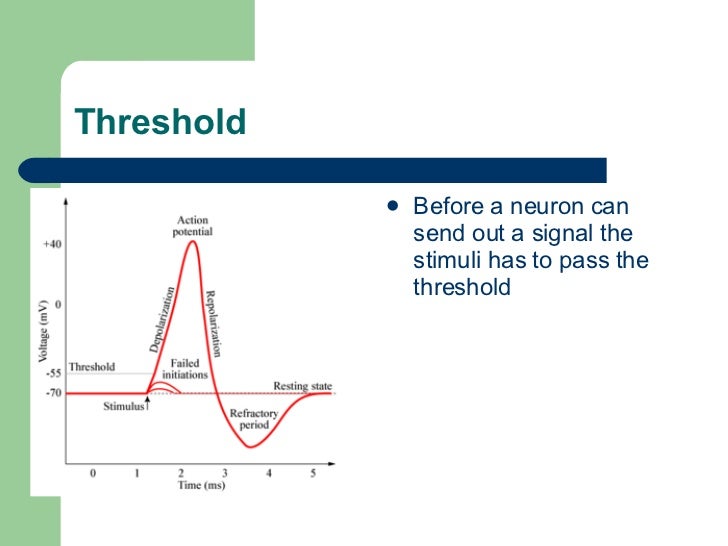 Endocrine System, Nervous System And Homeostatic Control[1]