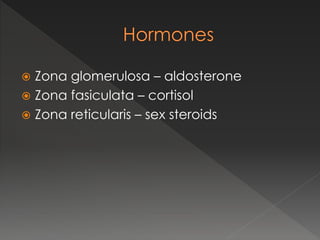  Zona glomerulosa – aldosterone
 Zona fasiculata – cortisol
 Zona reticularis – sex steroids
 