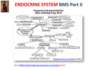 ENDOCRINE SYSTEM BMS Part II
                   Prepared and presented by:
                    Marc Imhotep Cray, M.D.




                                       Drag/Drop Hormone Match ZeroBio


See: IVMS Endo-Endocrine Secretion and Action Part I
 