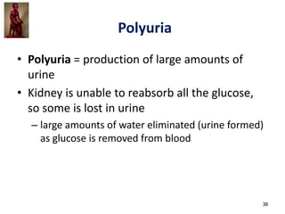 Polyuria Types IVMS Endocrine Part III-PATHOPHYSIOLOGY OF DIABETES MELLITUS | PDF