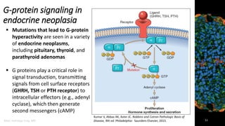 Endocrine System Pathology_ Ppt Lecture Series (5 in 1) | PDF
