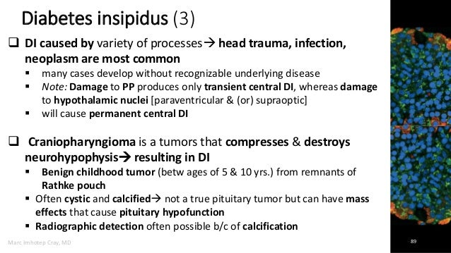 endocrine system indicators endocrine system indicators
