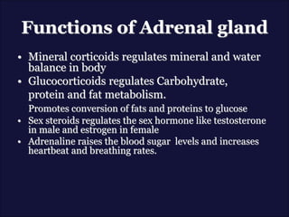 Functions of Adrenal gland
• Mineral corticoids regulates mineral and water
balance in body
• Glucocorticoids regulates Carbohydrate,
protein and fat metabolism.
Promotes conversion of fats and proteins to glucose
• Sex steroids regulates the sex hormone like testosterone
in male and estrogen in female
• Adrenaline raises the blood sugar levels and increases
heartbeat and breathing rates.
 