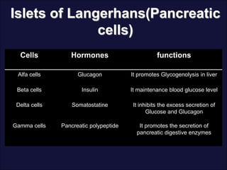 Islets of Langerhans(Pancreatic
cells)
Cells Hormones functions
Alfa cells Glucagon It promotes Glycogenolysis in liver
Beta cells Insulin It maintenance blood glucose level
Delta cells Somatostatine It inhibits the excess secretion of
Glucose and Glucagon
Gamma cells Pancreatic polypeptide It promotes the secretion of
pancreatic digestive enzymes
 