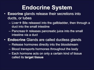 Endocrine System
• Exocrine glands release their secretions into
ducts, or tubes
– Liver Bile released into the gallbladder, then through a
duct into the small intestine
– Pancreas releases pancreatic juice into the small
intestine via a duct
• Endocrine Glands are called ductless glands
– Release hormones directly into the bloodstream
– Blood transports hormones throughout the body
– Each hormone acts on only a certain kind of tissue
called its target tissue
 