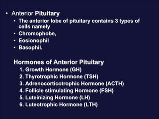 • Anterior Pituitary
• The anterior lobe of pituitary contains 3 types of
cells namely
• Chromophobe,
• Eosionophil
• Basophil.
Hormones of Anterior Pituitary
1. Growth Hormone (GH)
2. Thyrotrophic Hormone (TSH)
3. Adrenocorticotrophic Hormone (ACTH)
4. Follicle stimulating Hormone (FSH)
5. Luteinizing Hormone (LH)
6. Luteotrophic Hormone (LTH)
 