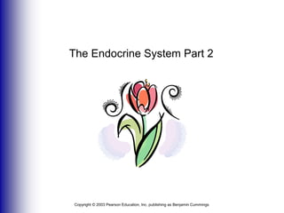 The Endocrine System Part 2  Copyright © 2003 Pearson Education, Inc. publishing as Benjamin Cummings 