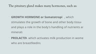 The pituitary gland makes many hormones, such as:
 GROWTH HORMONE or Somatotropin, which
stimulates the growth of bone and other body tissues
and plays a role in the body's handling of nutrients and
minerals
 PROLACTIN which activates milk production in women
who are breastfeeding
 
