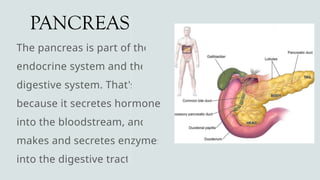 PANCREAS
The pancreas is part of the
endocrine system and the
digestive system. That's
because it secretes hormones
into the bloodstream, and
makes and secretes enzymes
into the digestive tract.
 
