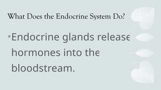 What Does the Endocrine System Do?
•Endocrine glands release
hormones into the
bloodstream.
 