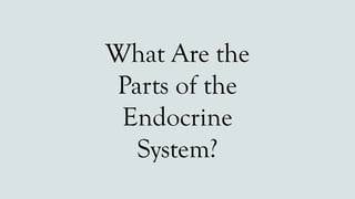 What Are the
Parts of the
Endocrine
System?
 