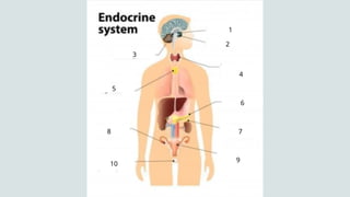 6
11
3
2
4
5
8
10
7
9
 