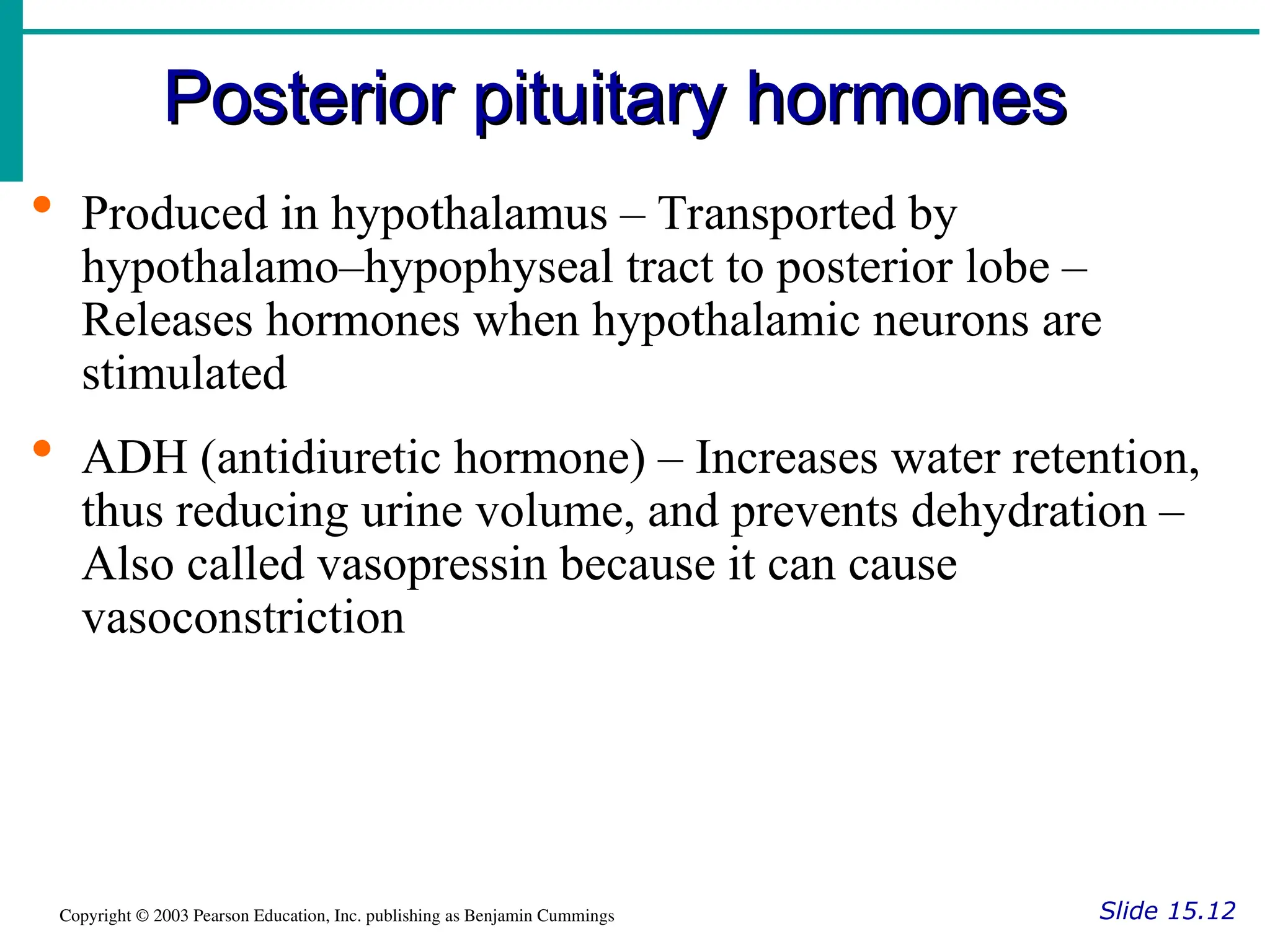 Posterior pituitary hormones
Posterior pituitary hormones
Slide 15.12
Copyright © 2003 Pearson Education, Inc. publishing as Benjamin Cummings
 Produced in hypothalamus – Transported by
hypothalamo–hypophyseal tract to posterior lobe –
Releases hormones when hypothalamic neurons are
stimulated
 ADH (antidiuretic hormone) – Increases water retention,
thus reducing urine volume, and prevents dehydration –
Also called vasopressin because it can cause
vasoconstriction
 