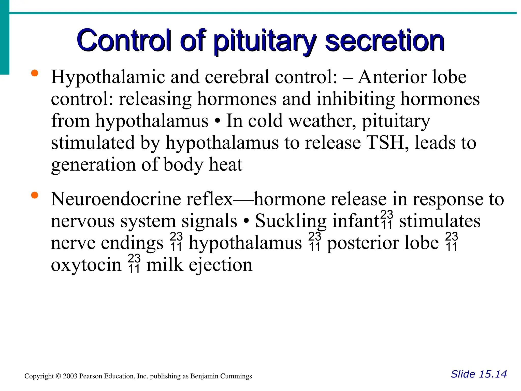 Control of pituitary secretion
Control of pituitary secretion
Slide 15.14
Copyright © 2003 Pearson Education, Inc. publishing as Benjamin Cummings
 Hypothalamic and cerebral control: – Anterior lobe
control: releasing hormones and inhibiting hormones
from hypothalamus • In cold weather, pituitary
stimulated by hypothalamus to release TSH, leads to
generation of body heat
 Neuroendocrine reflex—hormone release in response to
nervous system signals • Suckling infant stimulates

nerve endings hypothalamus posterior lobe
  
oxytocin milk ejection

 