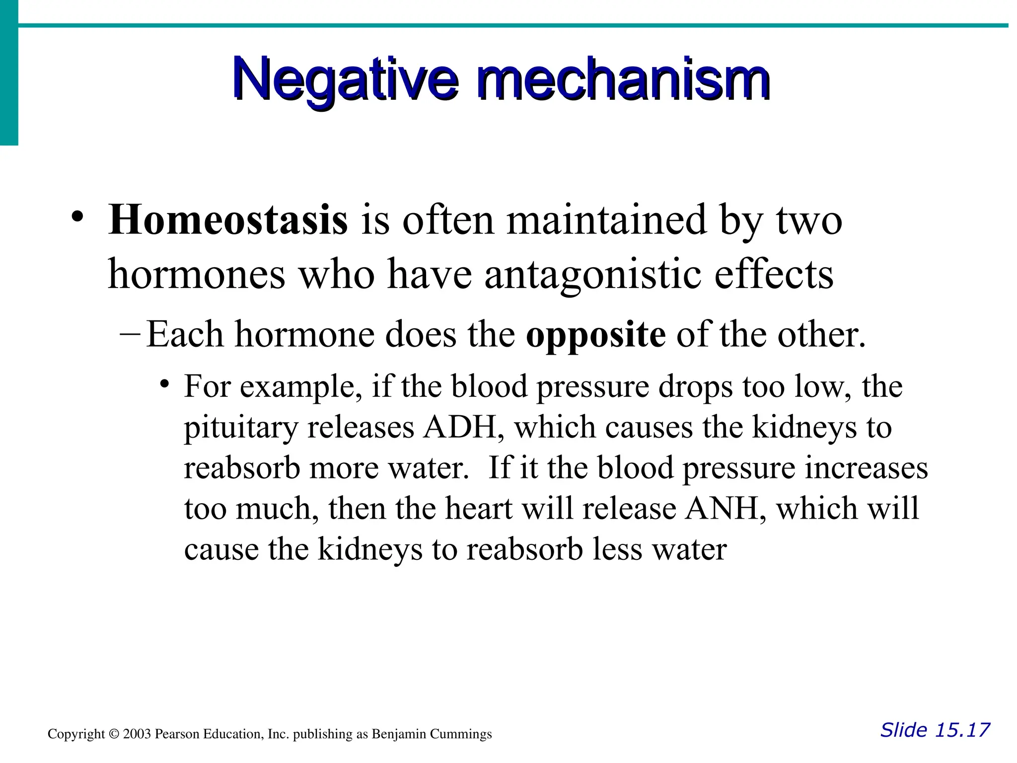Negative mechanism
Negative mechanism
Slide 15.17
Copyright © 2003 Pearson Education, Inc. publishing as Benjamin Cummings
• Homeostasis is often maintained by two
hormones who have antagonistic effects
–Each hormone does the opposite of the other.
• For example, if the blood pressure drops too low, the
pituitary releases ADH, which causes the kidneys to
reabsorb more water. If it the blood pressure increases
too much, then the heart will release ANH, which will
cause the kidneys to reabsorb less water
 