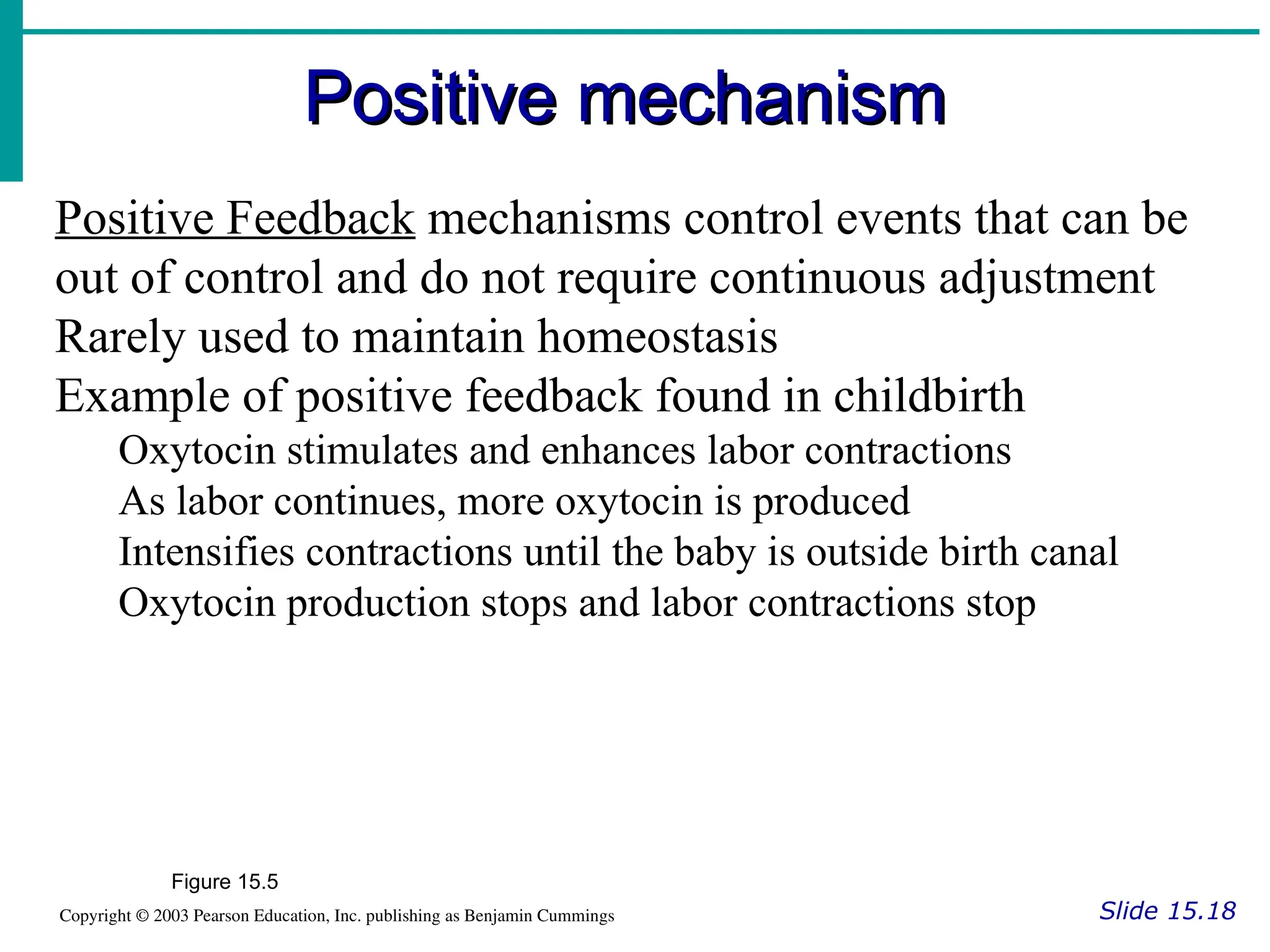 Positive mechanism
Positive mechanism
Slide 15.18
Copyright © 2003 Pearson Education, Inc. publishing as Benjamin Cummings
Figure 15.5
Positive Feedback mechanisms control events that can be
out of control and do not require continuous adjustment
Rarely used to maintain homeostasis
Example of positive feedback found in childbirth
Oxytocin stimulates and enhances labor contractions
As labor continues, more oxytocin is produced
Intensifies contractions until the baby is outside birth canal
Oxytocin production stops and labor contractions stop
 