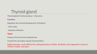 Endocrine systems of Birds and mammals.pptx