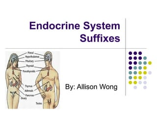 Endocrine System Suffixes By: Allison Wong 