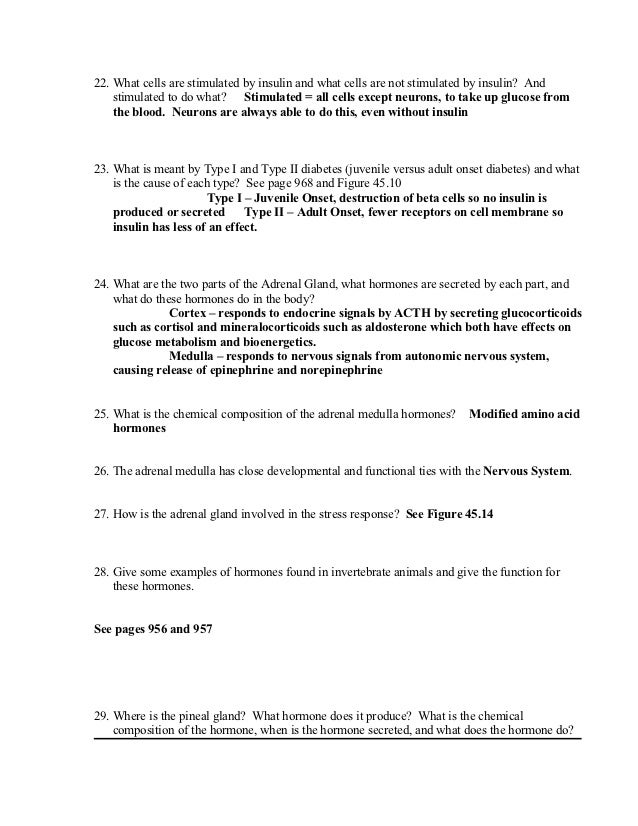 Endocrine system worksheet key