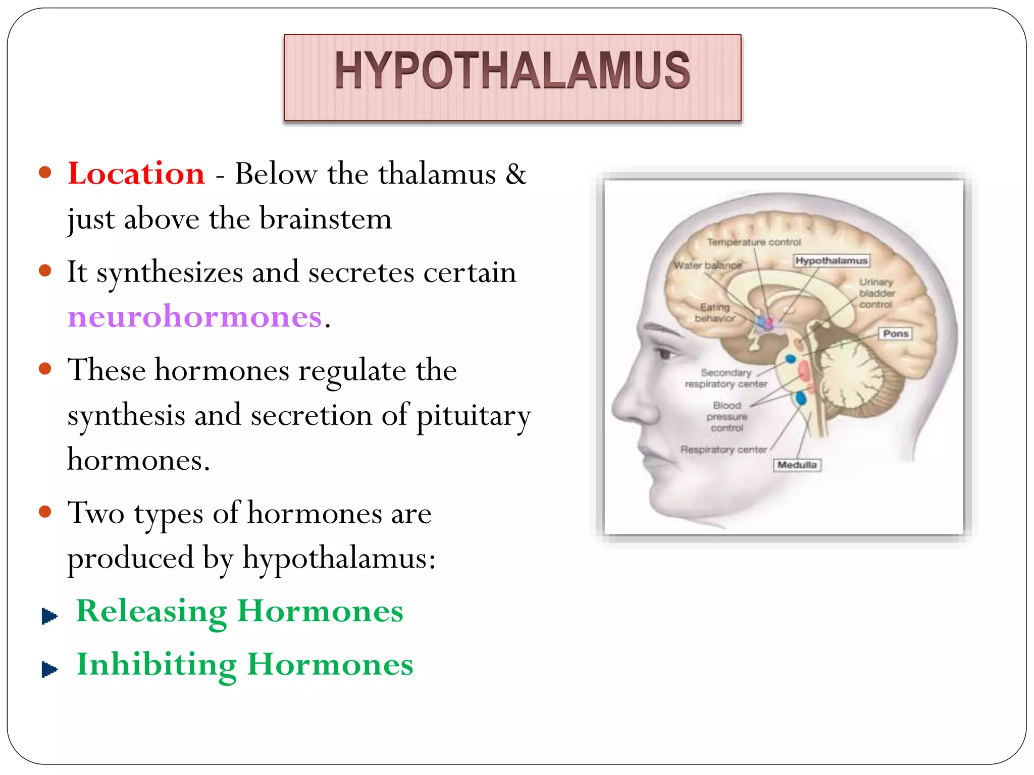 Location - Below the thalamus &
just above the brainstem
 It synthesizes and secretes certain
neurohormones.
 These hormones regulate the
synthesis and secretion of pituitary
hormones.
 Two types of hormones are
produced by hypothalamus:
Releasing Hormones
Inhibiting Hormones
 