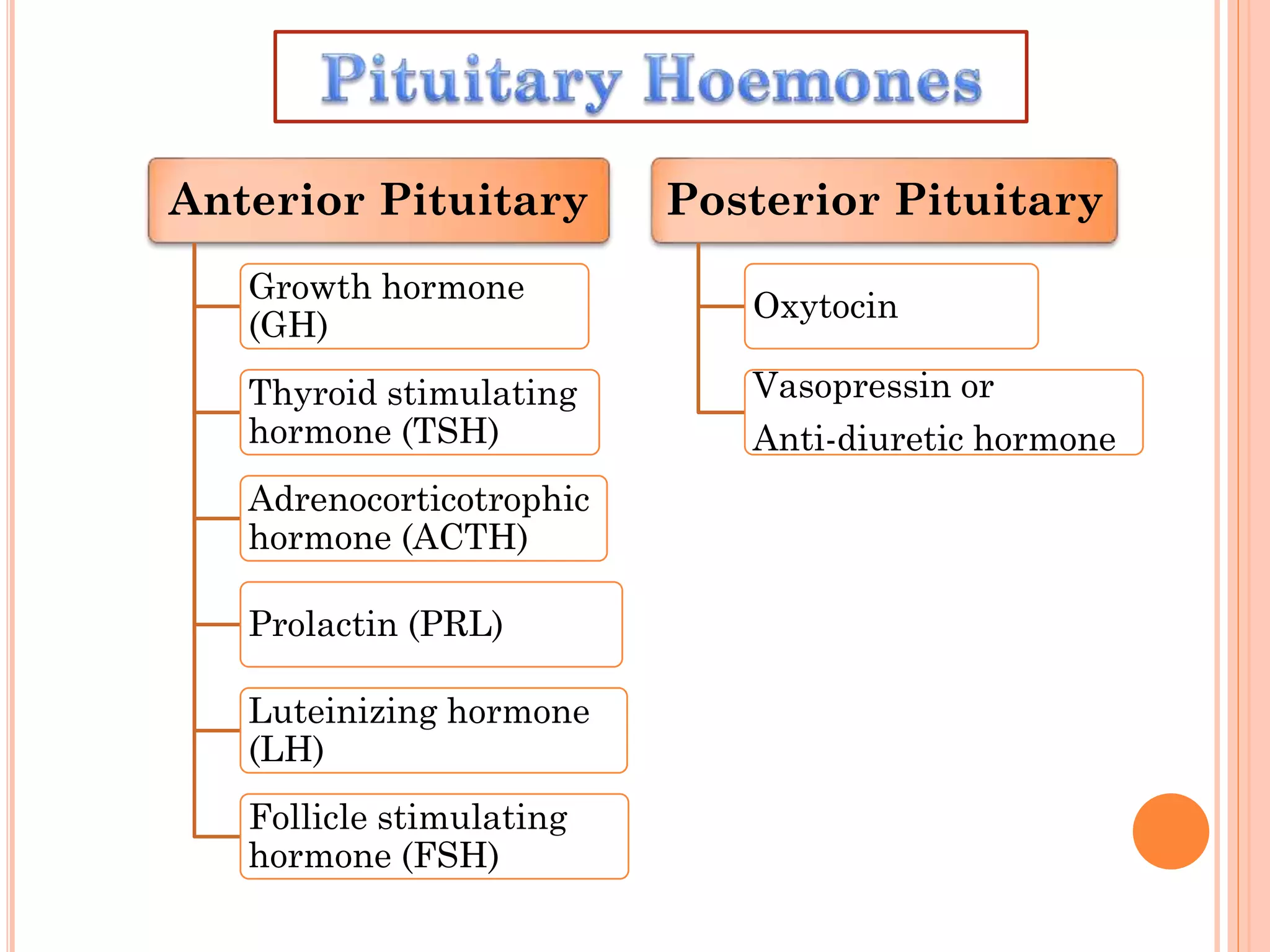 Anterior Pituitary
Growth hormone
(GH)
Thyroid stimulating
hormone (TSH)
Adrenocorticotrophic
hormone (ACTH)
Prolactin (PRL)
Luteinizing hormone
(LH)
Follicle stimulating
hormone (FSH)
Posterior Pituitary
Oxytocin
Vasopressin or
Anti-diuretic hormone
 