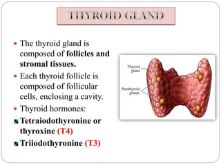 Chemical Coordination and Integration: Endocrine System | PPT