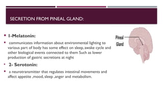 SECRETION FROM PINEAL GLAND:
 1-Melatonin:
 communicates information about environmental lighting to
various part of body has some effect on sleep, awake cycle and
other biological events connected to them Such as lower
production of gastric secretions at night
 2- Serotonin:
 a neurotransmitter that regulates intestinal movements and
affect appetite ,mood, sleep ,anger and metabolism.
 