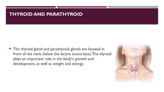 THYROID AND PARATHYROID
 The thyroid gland and parathyroid glands are located in
front of the neck, below the larynx (voice box).The thyroid
plays an important role in the body's growth and
development, as well as weight and energy.
 