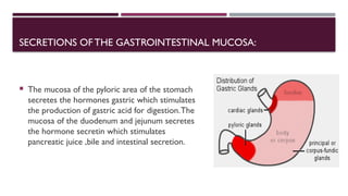 SECRETIONS OFTHE GASTROINTESTINAL MUCOSA:
 The mucosa of the pyloric area of the stomach
secretes the hormones gastric which stimulates
the production of gastric acid for digestion.The
mucosa of the duodenum and jejunum secretes
the hormone secretin which stimulates
pancreatic juice ,bile and intestinal secretion.
 