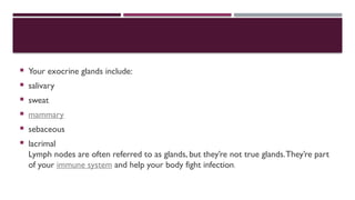  Your exocrine glands include:
 salivary
 sweat
 mammary
 sebaceous
 lacrimal
Lymph nodes are often referred to as glands, but they’re not true glands.They’re part
of your immune system and help your body fight infection.
 