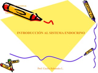INSTITUTO NACIONAL Biología  Segundo medio 2009 INTRODUCCIÓN AL SISTEMA ENDOCRINO Prof. Cecilia Rabanales L. 